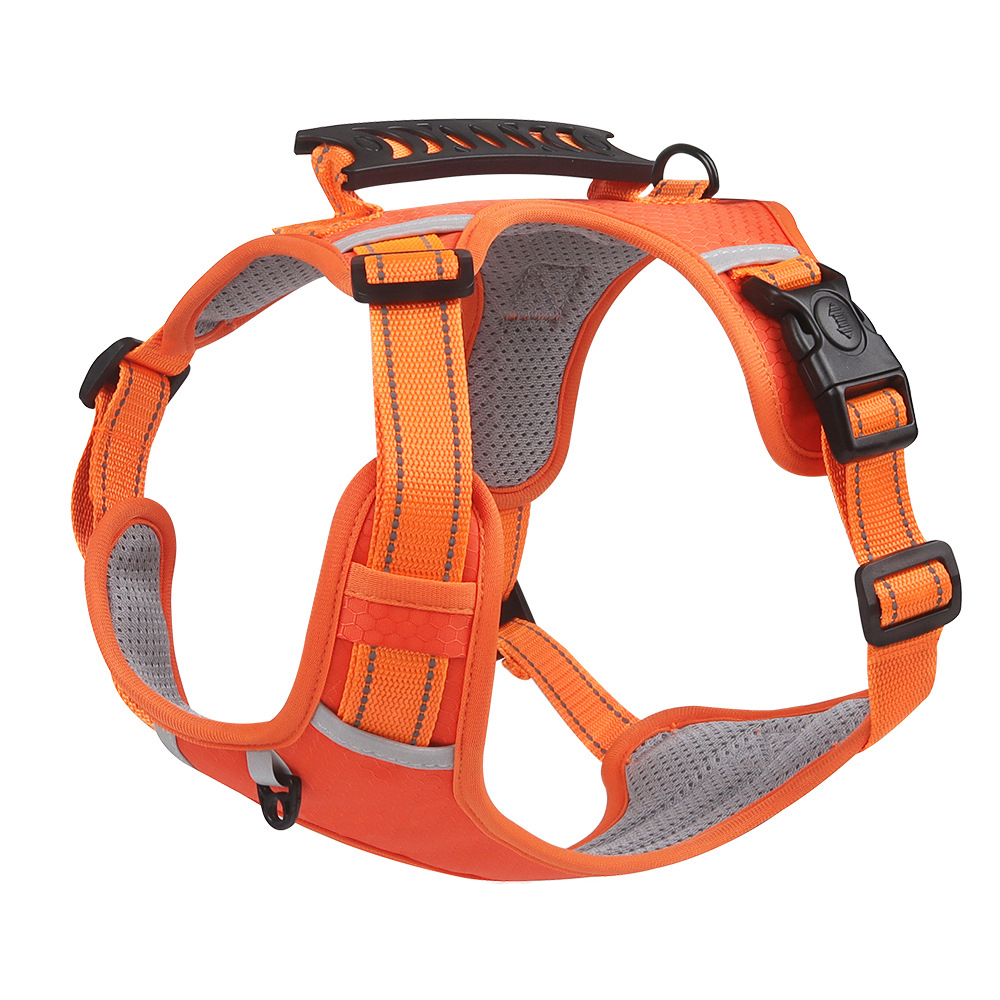 China Manufacturer for Dog Harness for Dogs