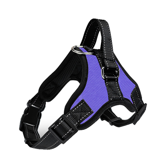 Personalized Dog Harness for Puppy Dog