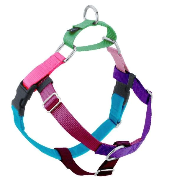 Martingale Collar Harness for Puppy Dog Supplies