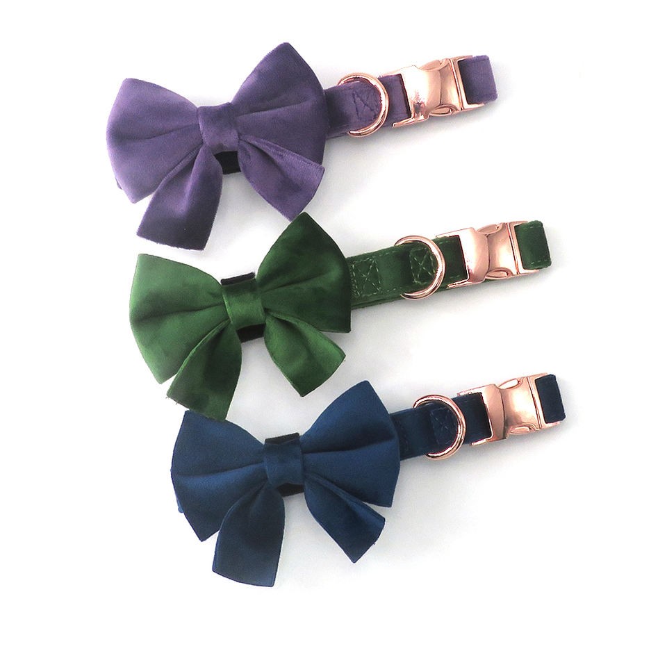 Heavy Duty Dog Collars with Bowtie and Metal Buckle
