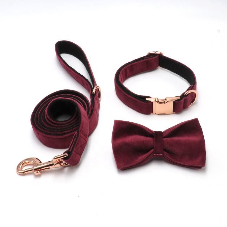 Customised Flea Collar Leash for Dogs from China