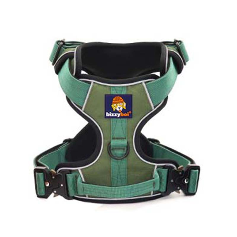Auroth Tactical Dog Harness Leash Set from China