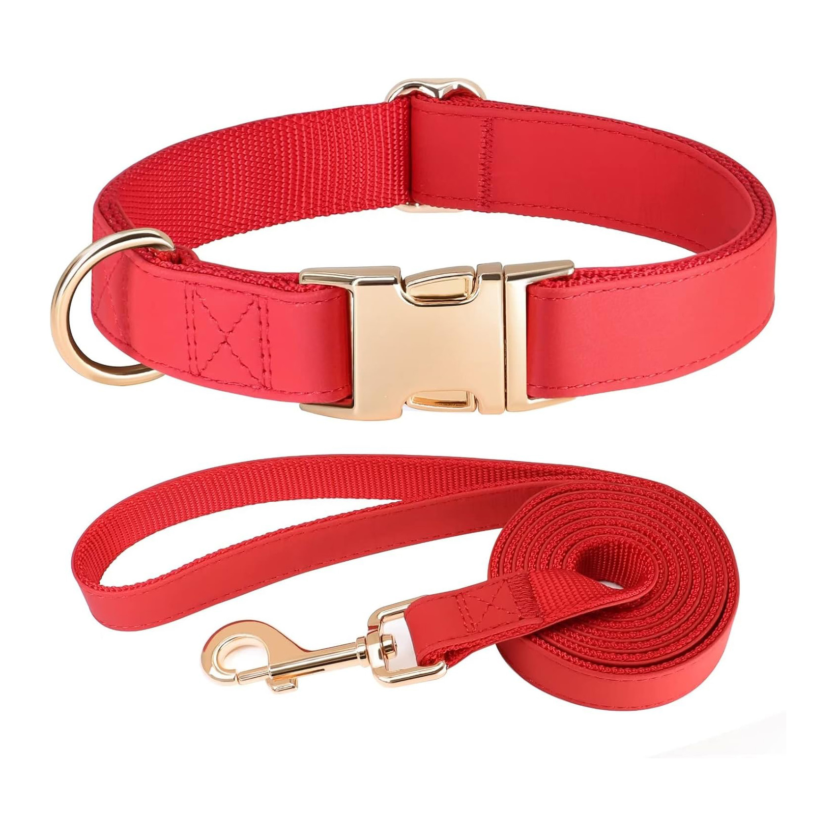Red Shock Collar Leash Set for Large Dogs