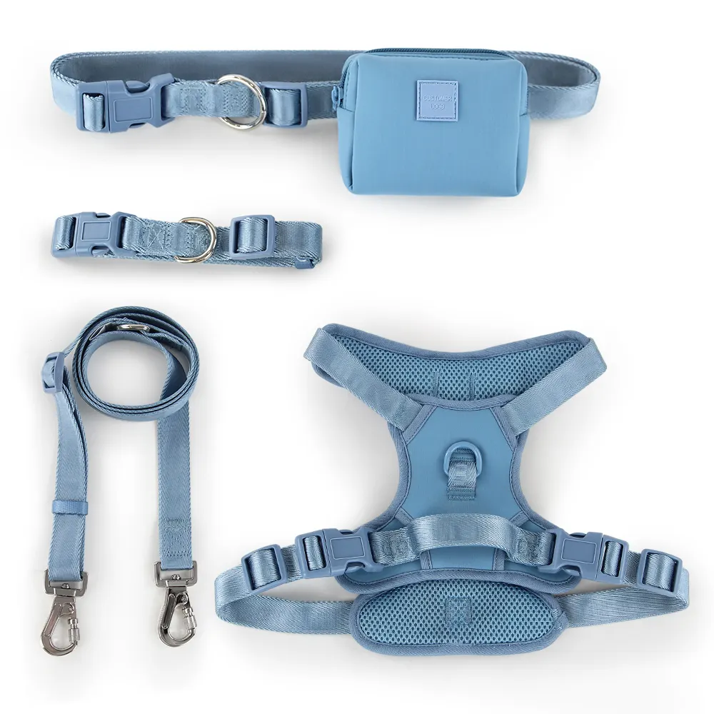Heavy Duty Harness And Leash for Medium Puppy Husky Dog