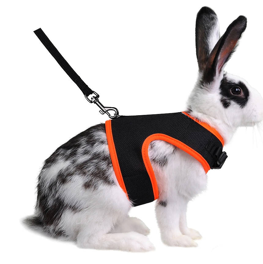 China Exporter for Rabbits and Cats Harness with Leash