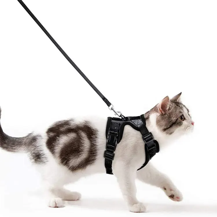 Manufacturer for Cats Harness and Leash from China