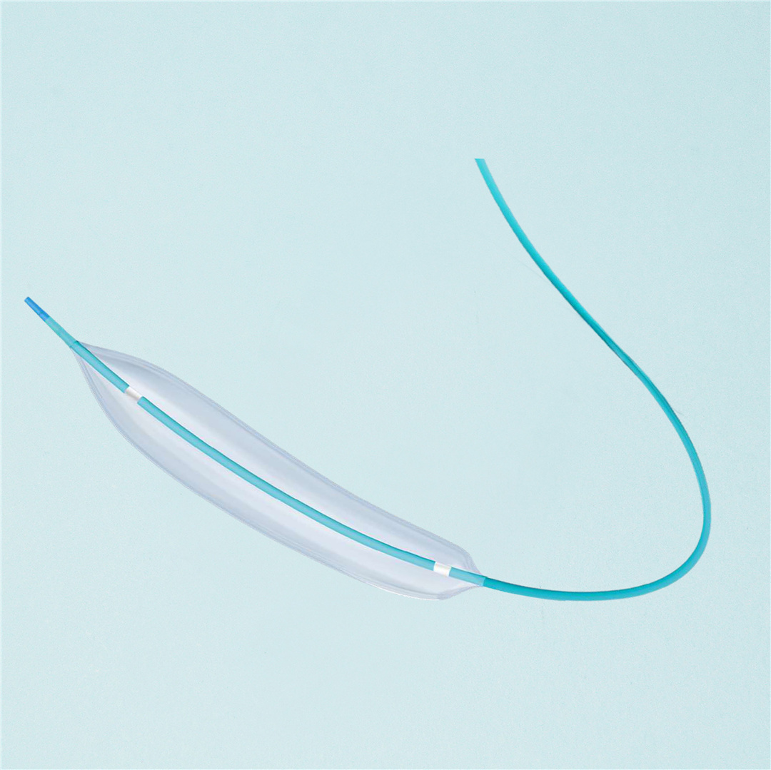 PTCA Balloon Dilatation Catheter