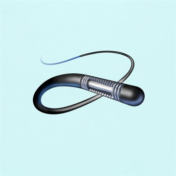 Hidrofila Kovrita Gviddrato