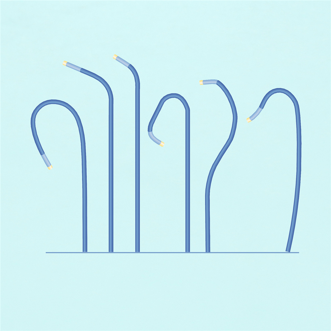 Guiding Catheter
