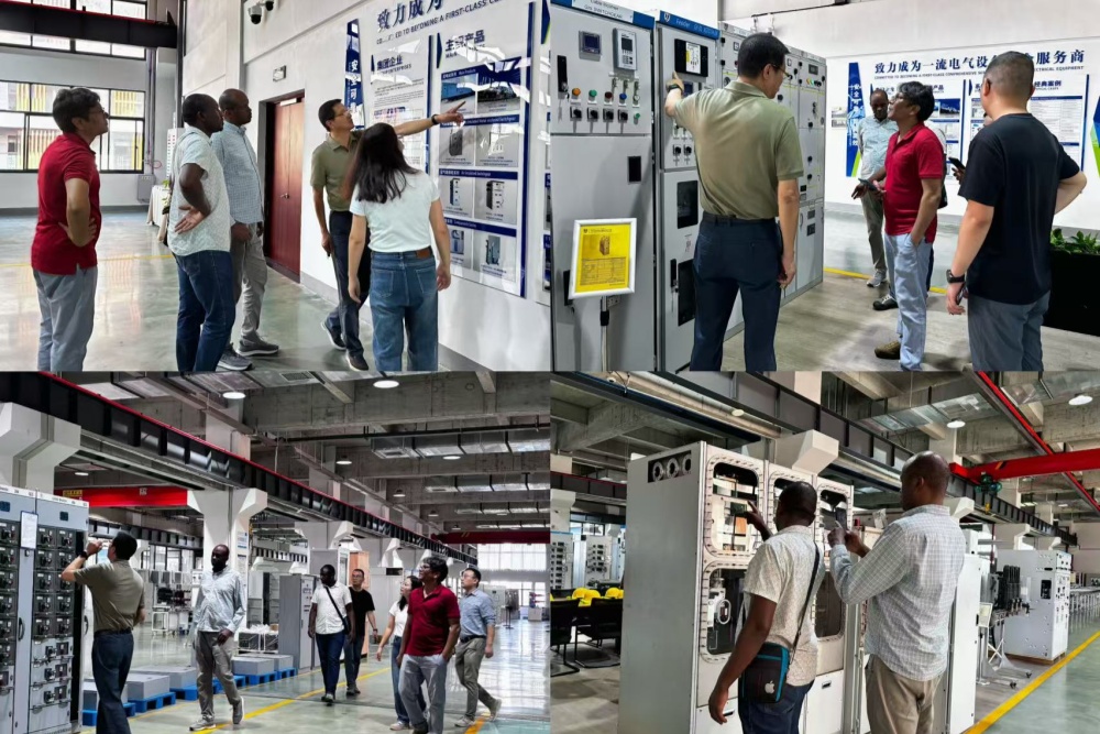 Rwandan Client Delegation and EPC Contractor Representatives Attend FAT at Tian’an