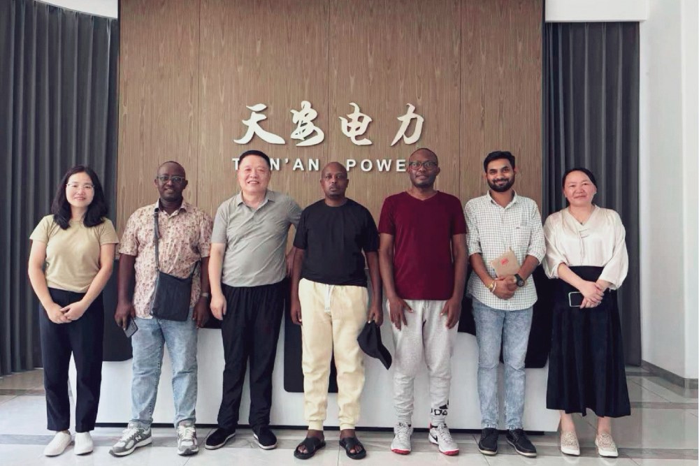 Tianan Electric's Rwanda Mobile Substation Project: Successful Acceptance, Forging a New Chapter in Power Cooperation