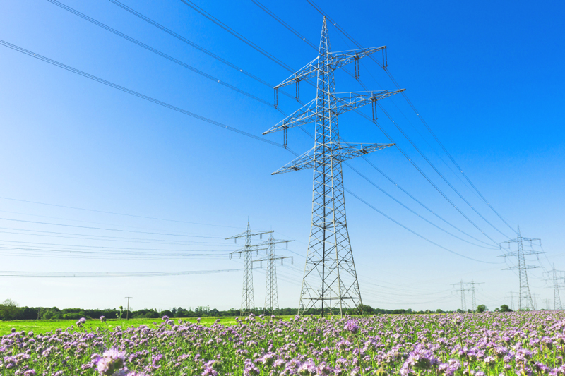Smart Power Grid Industry Solutions