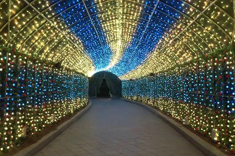 7. LED pixel light