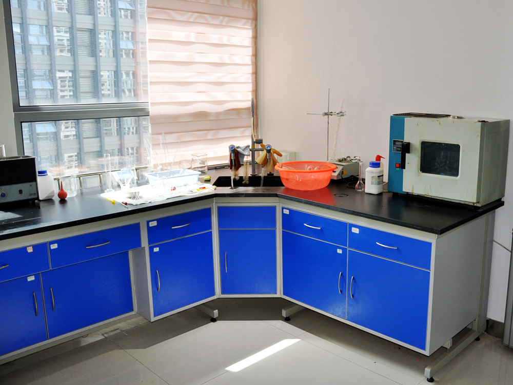 Risun-Bio-Tech-Inc10