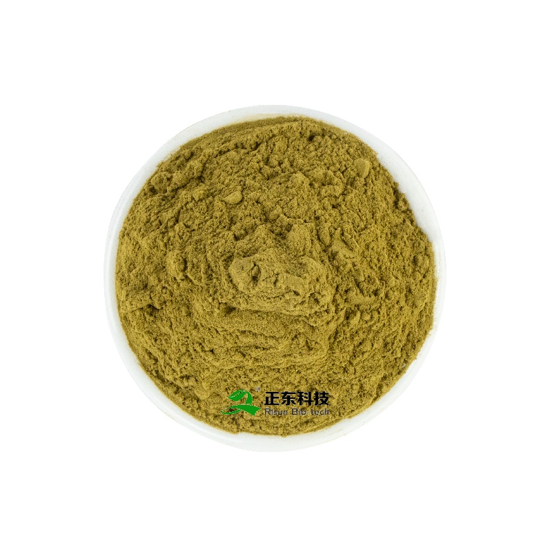 Rosemary Extract (Carnosic Acid) | Natural Anoxidant  & Preservative