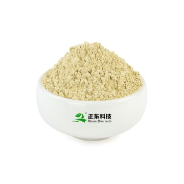 Citrus Aurantium Extract | Fat Metabolism Promotion & Anti-Fatigue
