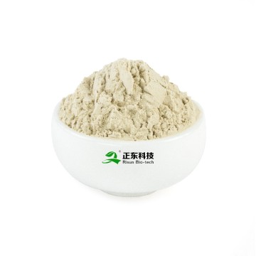 Natural Nattokinase| 20000FU/g High Activity & Dissolve Thrombus