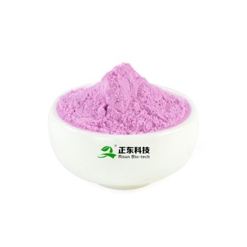 Dragon Fruit Powder | Natural Antioxidant & Enteroprotection