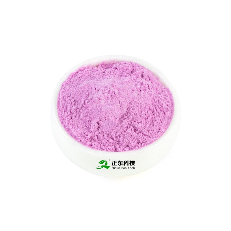 Dragon Fruit Powder | Natural Antioxidant & Enteroprotection