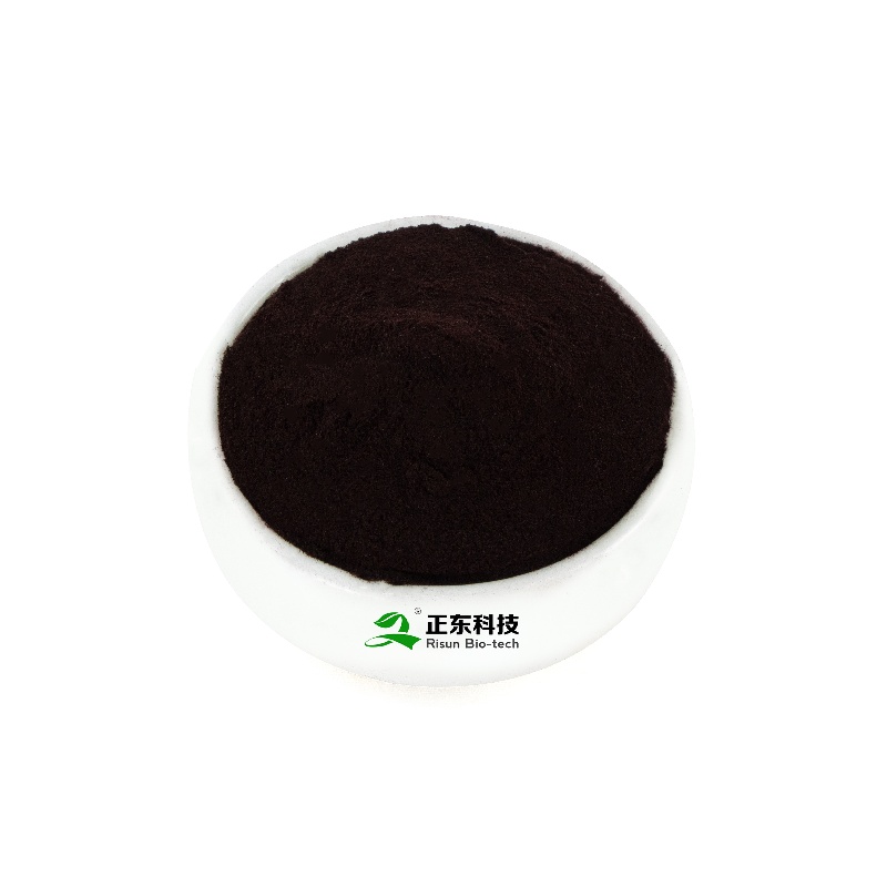 Purple Carrot Pigment| Natural anthocyanin pigment & Multifunctional healthy raw material solution