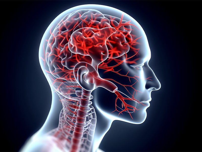 Nattokinase Spurs Global Thrombosis Prevention Shift: Chinese Pioneer Taps Decade-Led Expertise