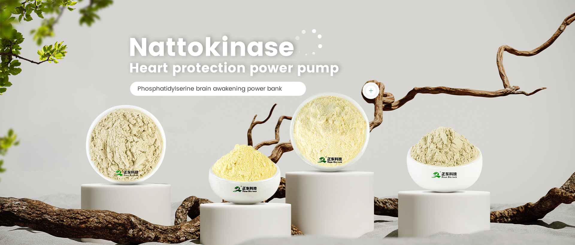 Risun Biotech Facility