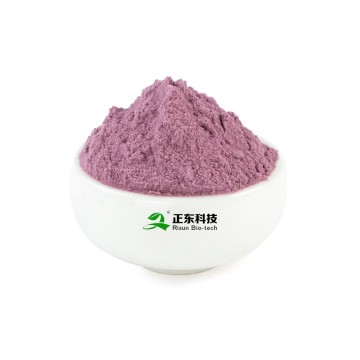 Blueberry Powder | Natural Anthocyanin Concentrated Juice Powder & Antioxidant & Eye Protection
