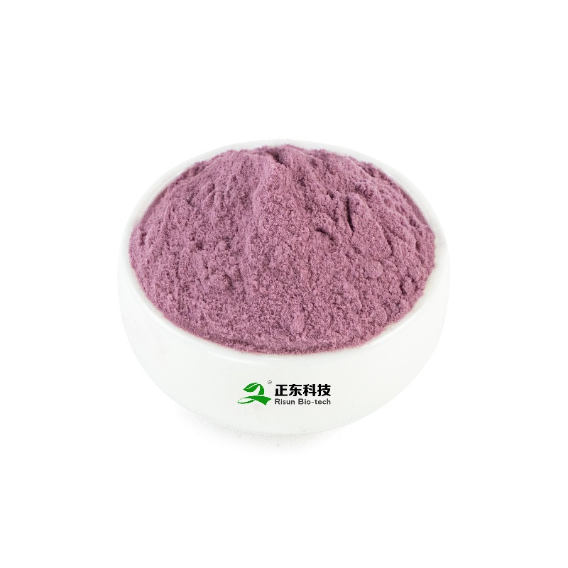 Blueberry Powder | Natural Anthocyanin Concentrated Juice Powder & Antioxidant & Eye Protection