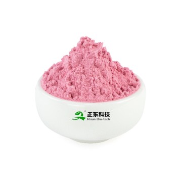 Cranberry Powder | Natural Proanthocyanidins Concentrated Juice Powder & Urogenital System Protection