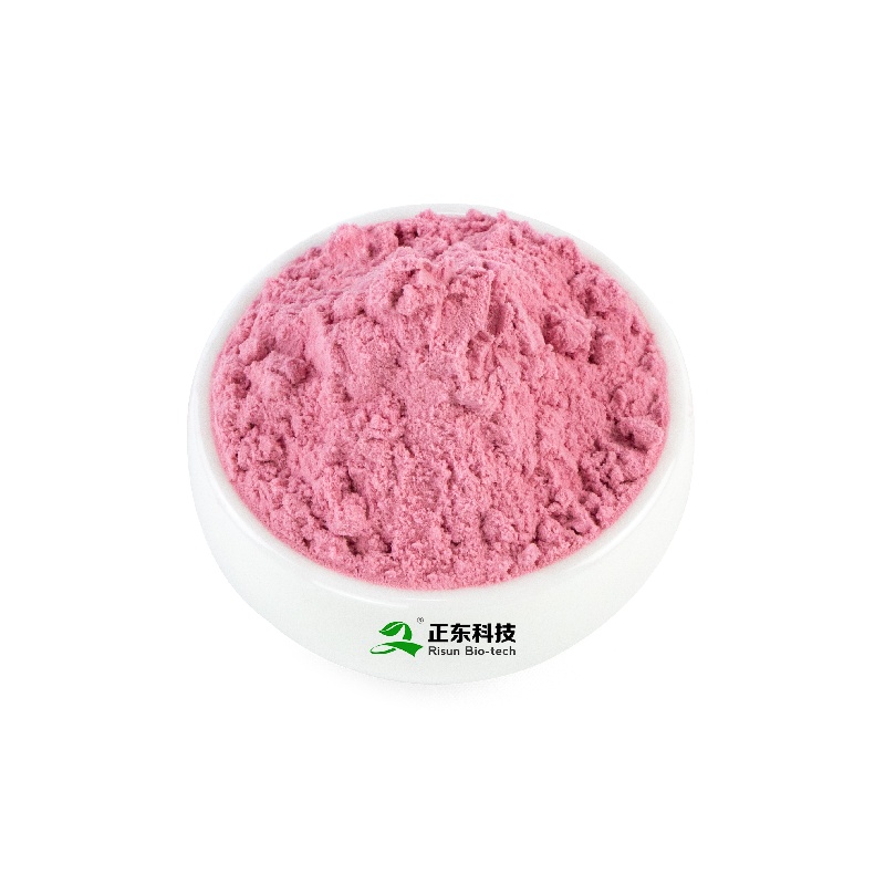 Cranberry Powder | Natural Proanthocyanidins Concentrated Juice Powder & Urogenital System Protection