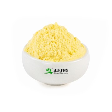 Sea Buckthorn Powder |  Rich in Omega-7 & Vitamin C | Freeze-Dried