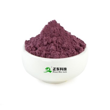 Mulberry Powder | Natural Anthocyanin Concentrated Juice Powder & Antioxidant Raw Material Solutions