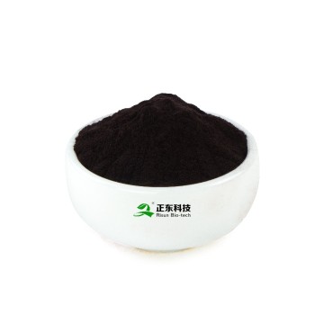 Red Cabbage Red | Antioxidant & Cardiovascular Protection