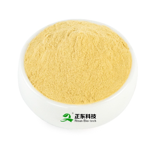 Obraz 1 z ginger extract.png