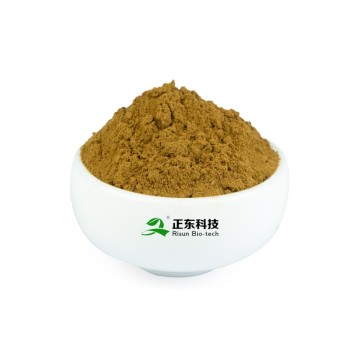 Artichoke Extract (Cynarin) - Expert in Liver Protection & Metabolic Regulation