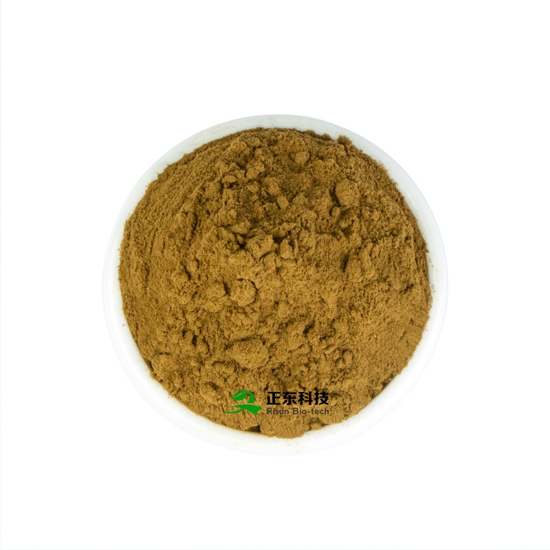 Artichoke Extract (Cynarin) - Expert in Liver Protection & Metabolic Regulation