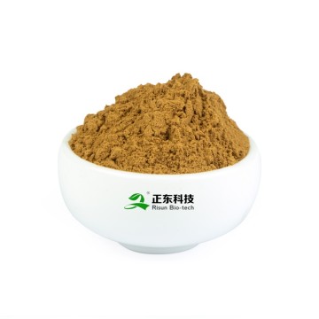 Ganoderma Lucidum Extract (Ganoderma Lucidum polysaccharide) | Expert in Immune Regulation & Anti-Tumor Auxiliary Raw Materials