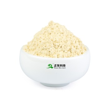 Ginseng Extract (Ginsenosides) | All-Round Adaptogen & Energy Metabolism Optimization Expert