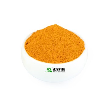 Marigold Extract (Lutein) | Vision Protection & Blue Light Defense Raw Material Expert