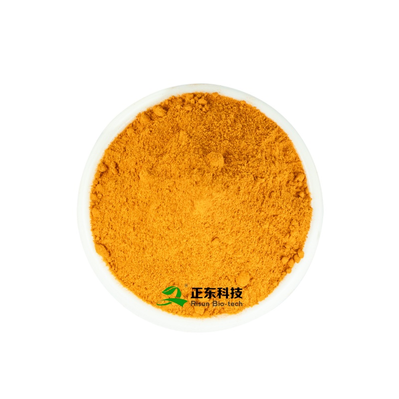 Marigold Extract (Lutein) | Vision Protection & Blue Light Defense Raw Material Expert