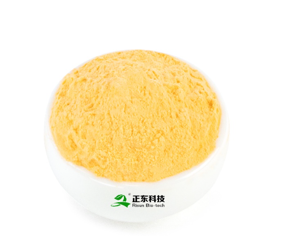 Fermented Coenzyme Q10（2）.png