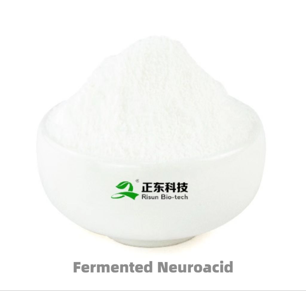 Fermented Neuroacid : Protect The Health of The Nervous System