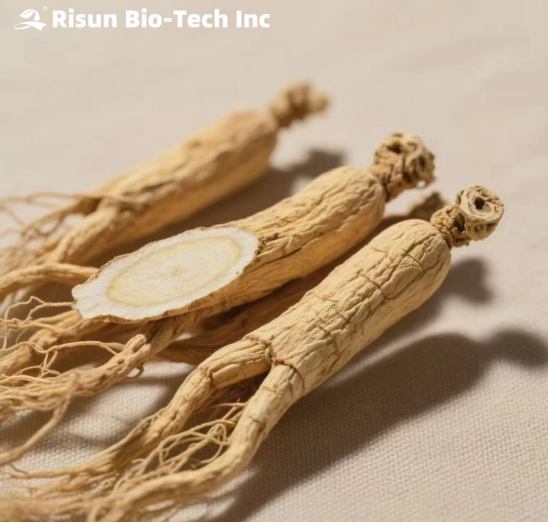 Ginseng Extract: Natural Power for Anti-Disease and Anti-Aging