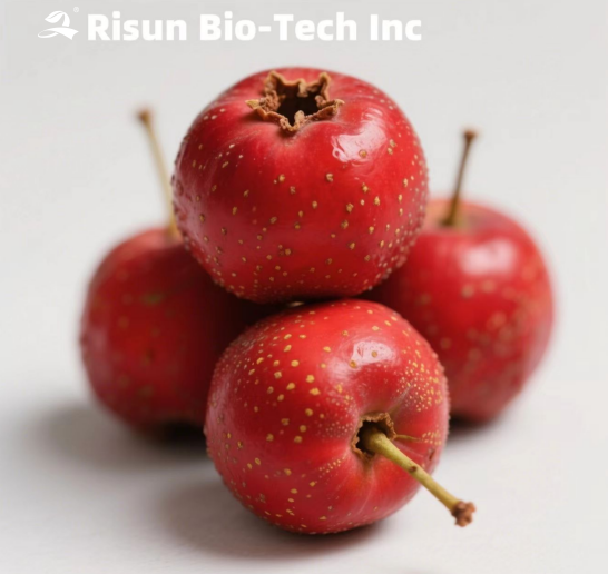​Hawthorn Powder: Choice for Concentrated Energy