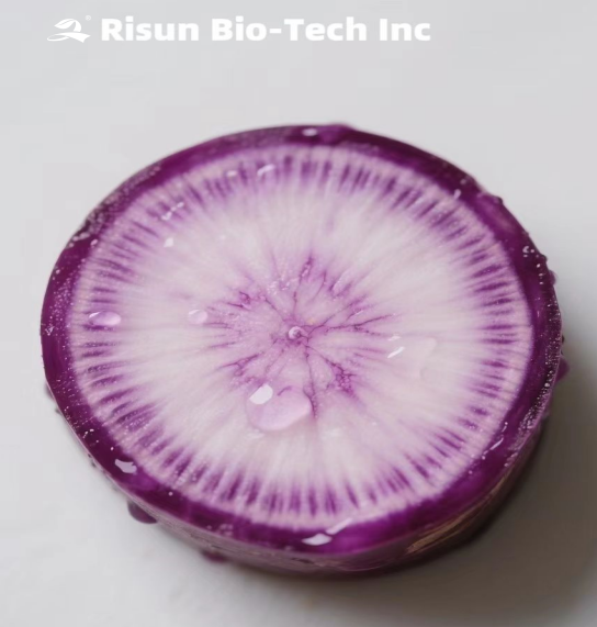 Pureple Carrot Pigment（2）.png