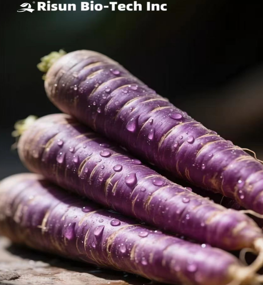 Purple Carrot Pigment (1).png
