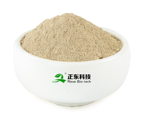 Risun High-Purity Fermented Urolithin A, More Efficient Mitochondrial Maintenance