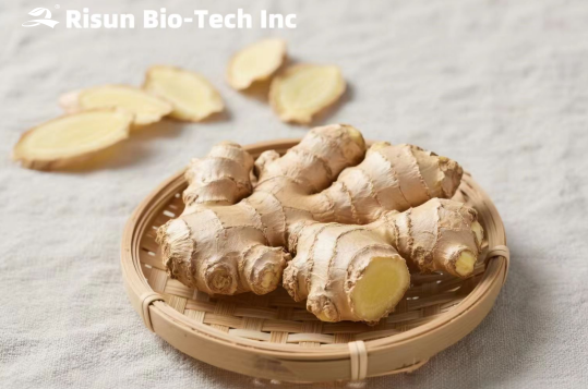 Analysis of Gingerol Detection Methods in Ginger Extract: A Scientific Perspective on 5-Item and 6-Ttem Testing