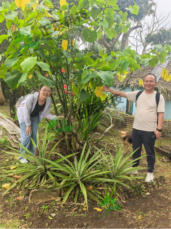 Kava Raw Material (1).png