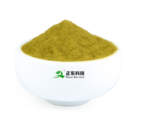 Echinacea Extract (1).png